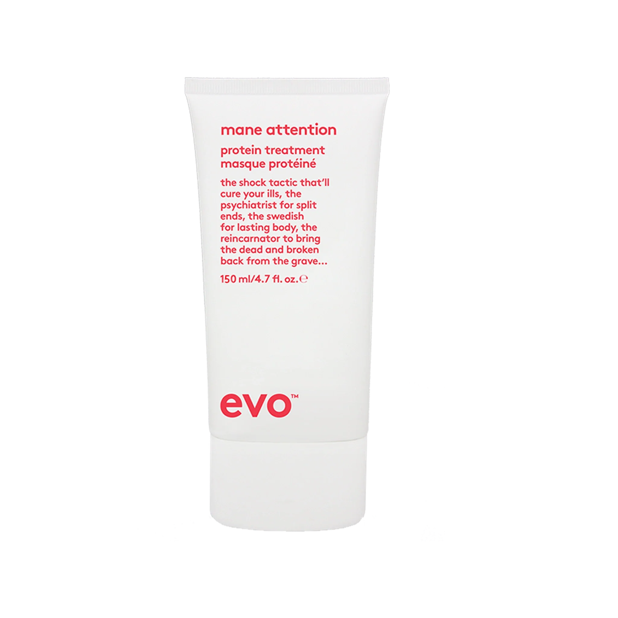 mane_attention_mask.webp